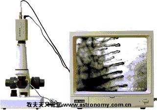 微循环图7.jpg