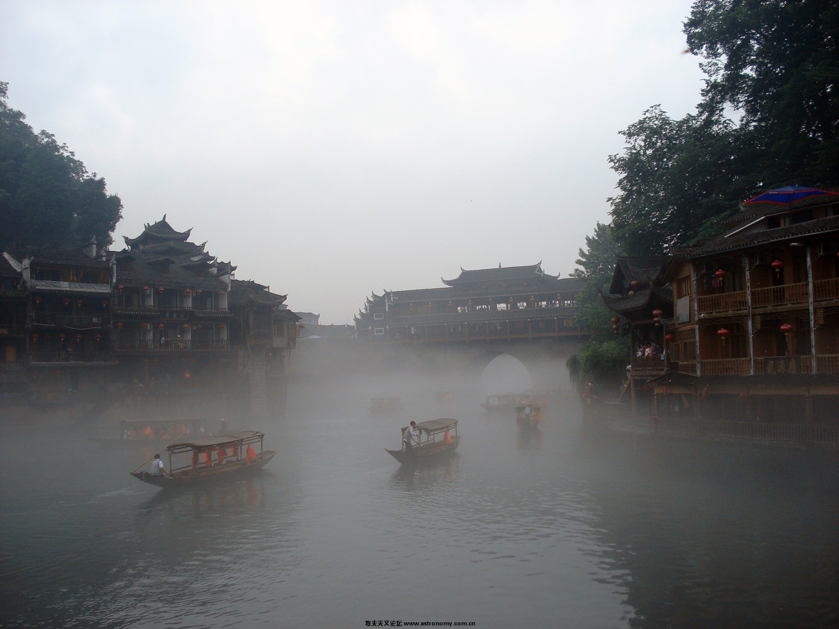 凤凰4.jpg