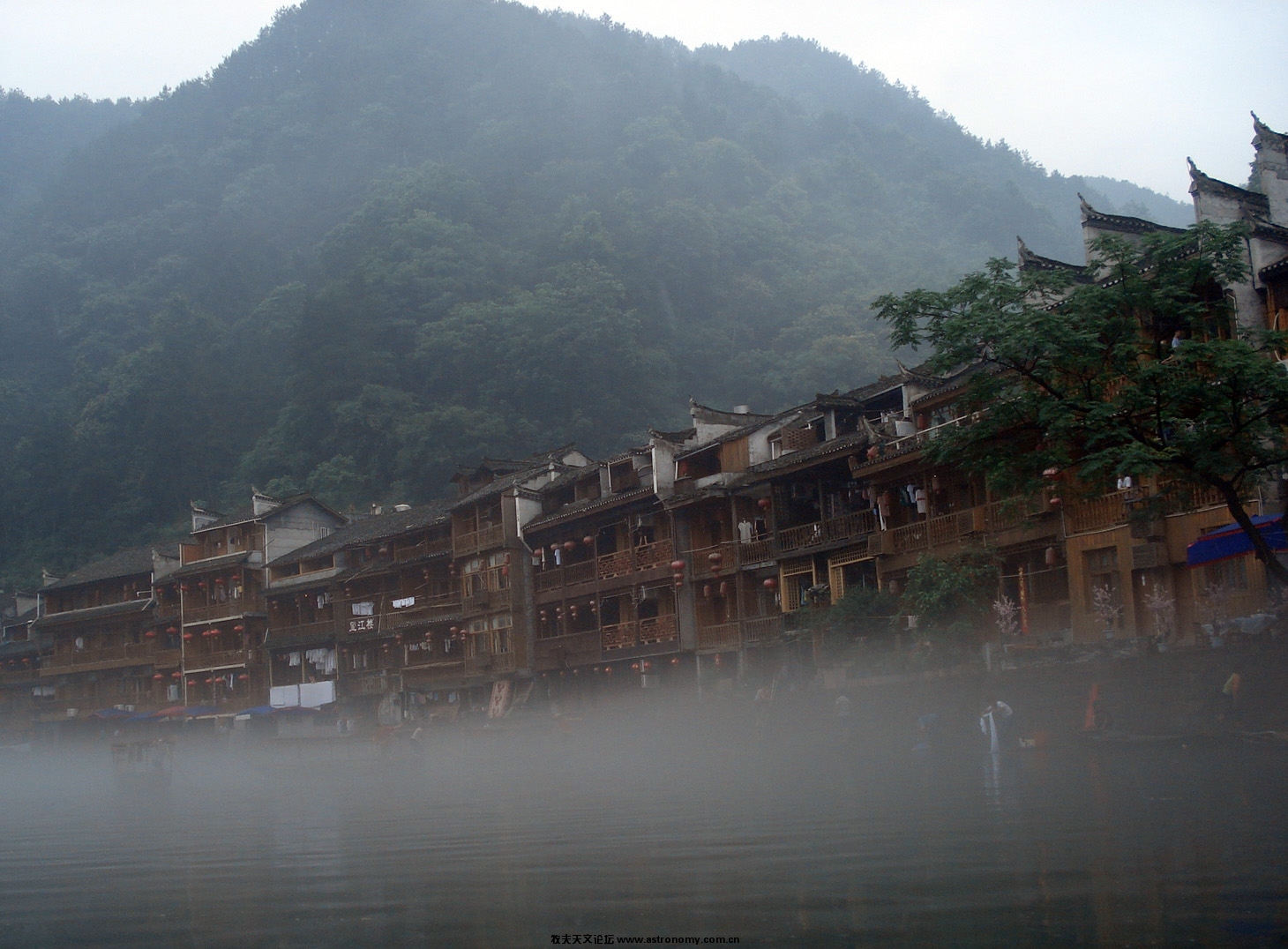 凤凰9.jpg