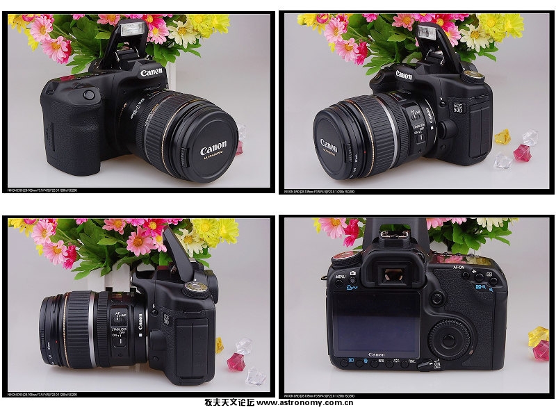 50d.jpg