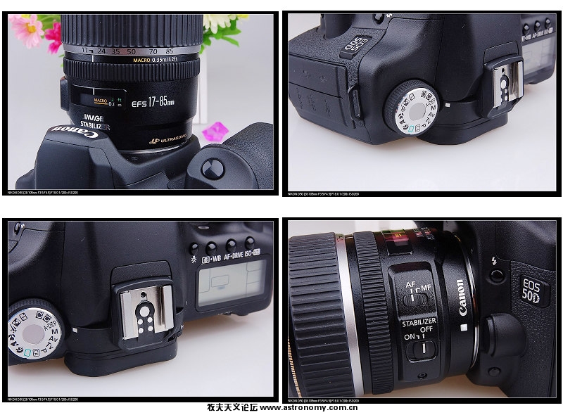 50d 1.jpg