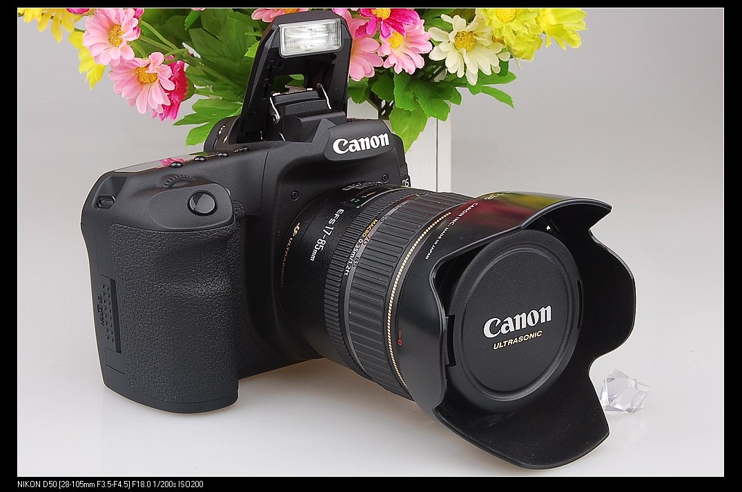50D 3.jpg
