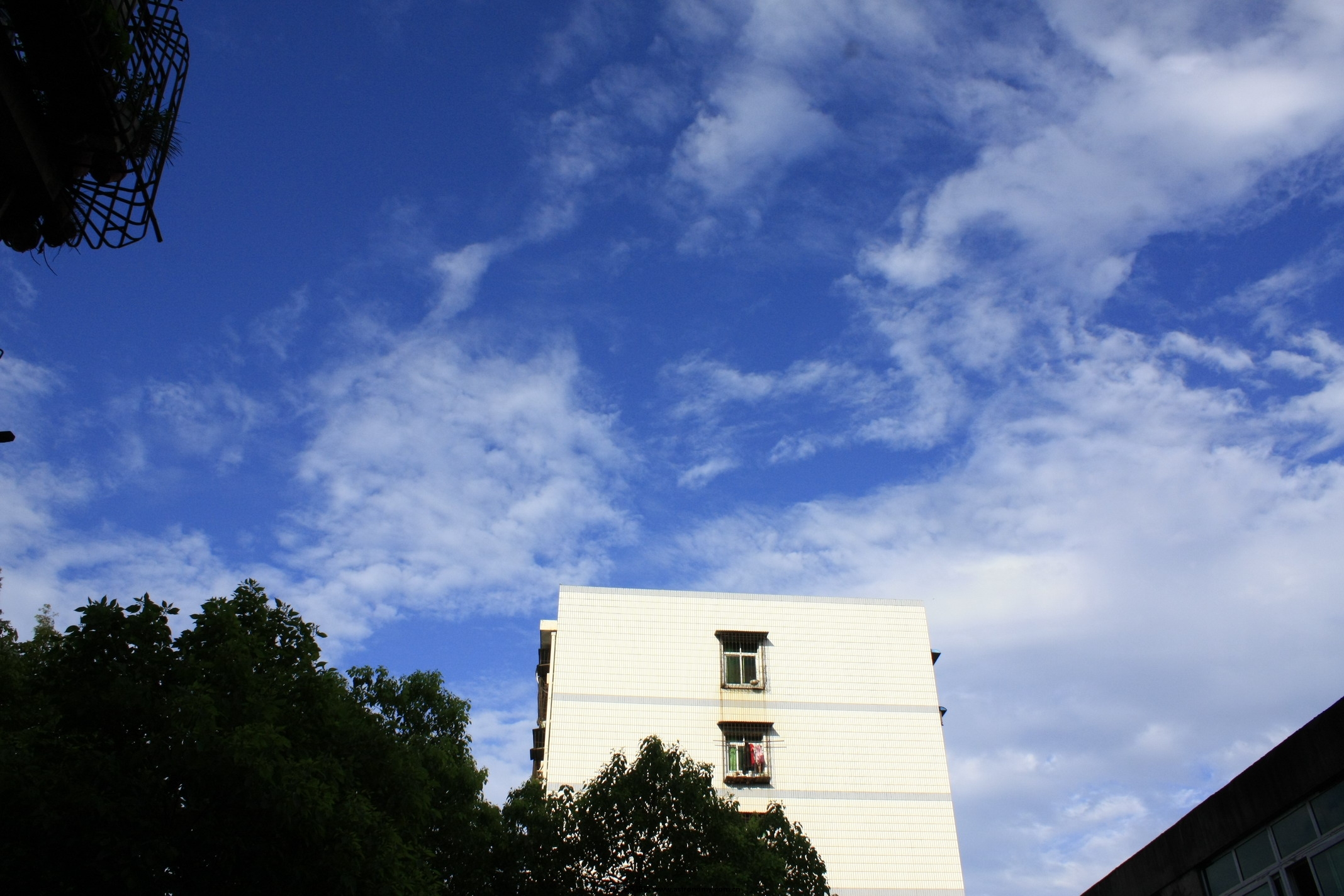 _MG_6519调.jpg