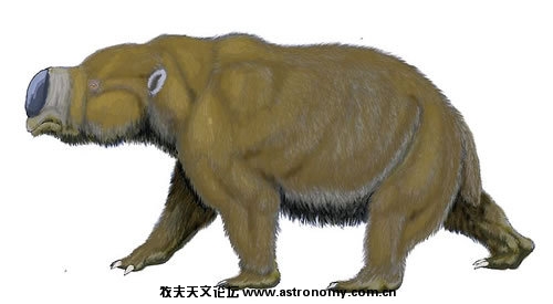 巨型袋鼠(Diprotodon).jpeg