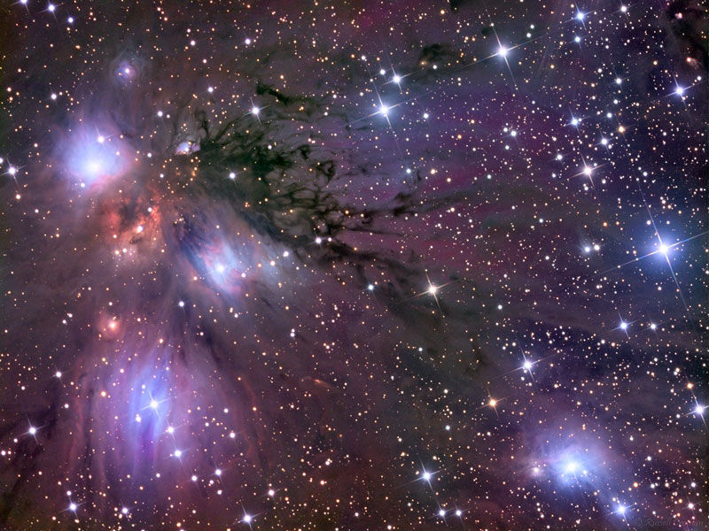 NGC2170内的恒星，尘埃和星云.jpg