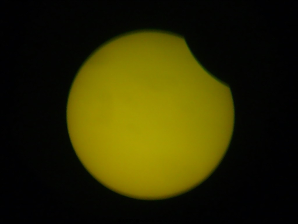 P1050696_.jpg