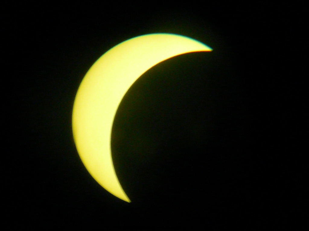 P1050748_.jpg