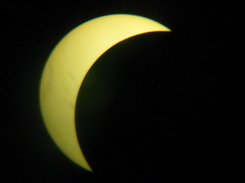 P1050750_.jpg