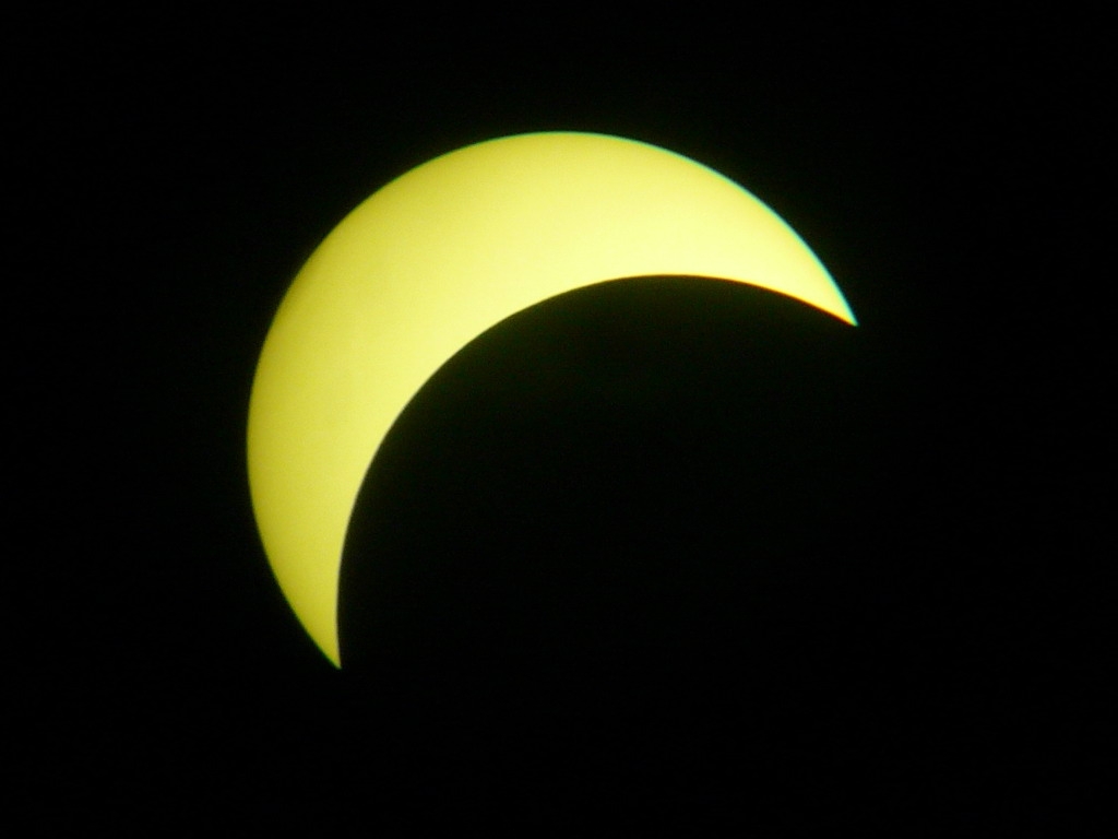 P1050783_.jpg