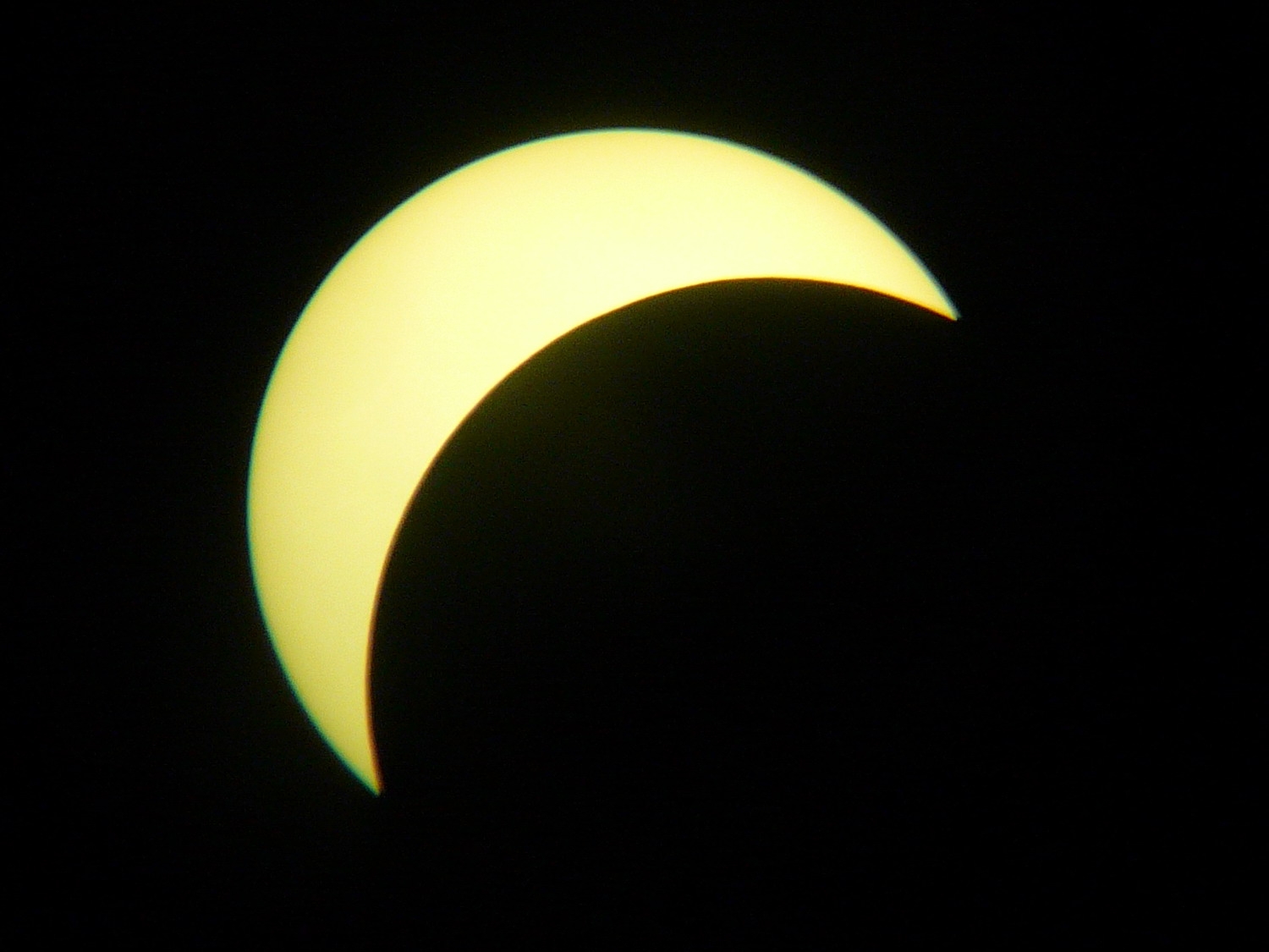 P1050772_.jpg