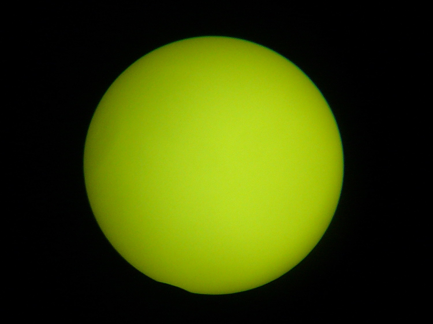 P1050806_.jpg