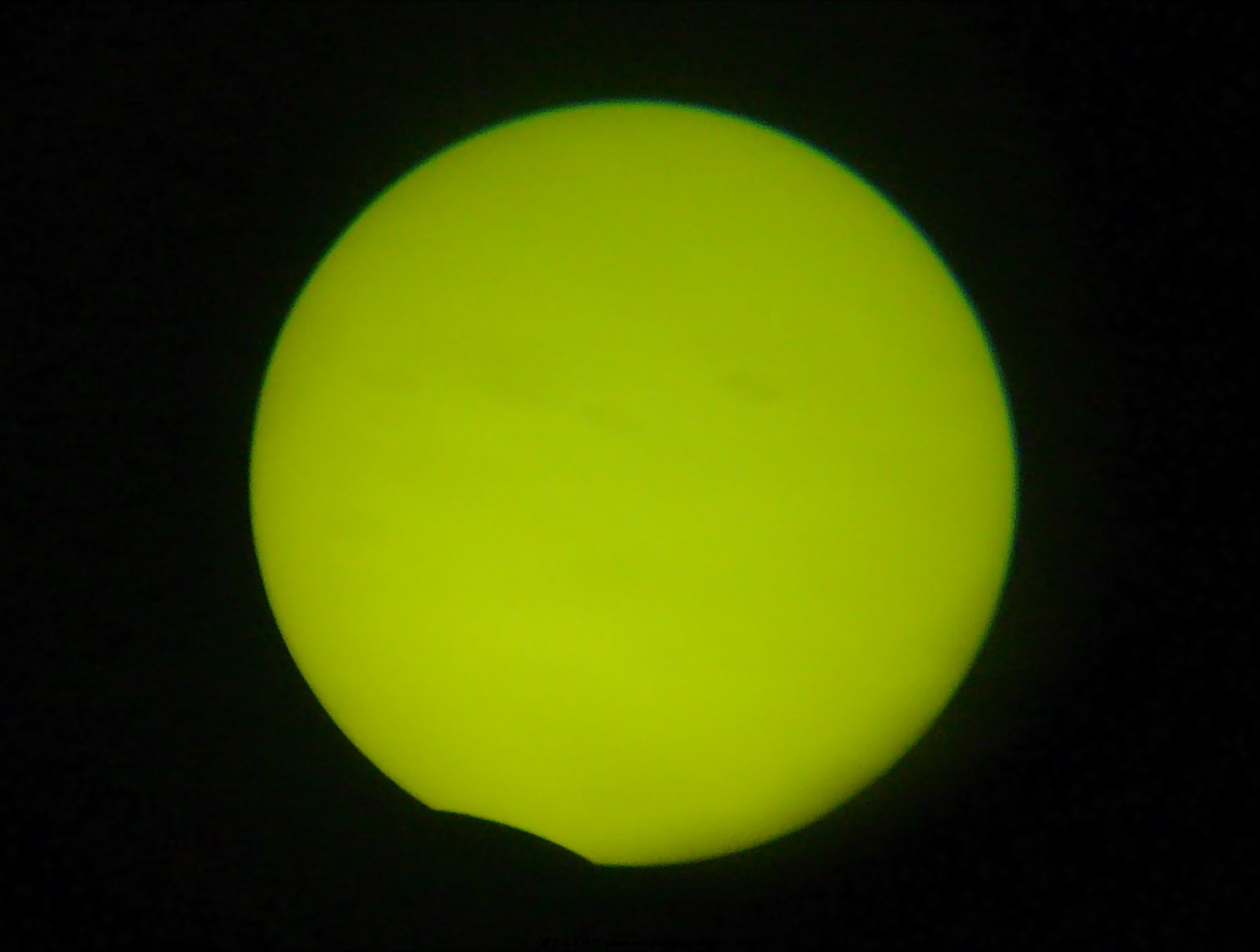 P1050804_.jpg