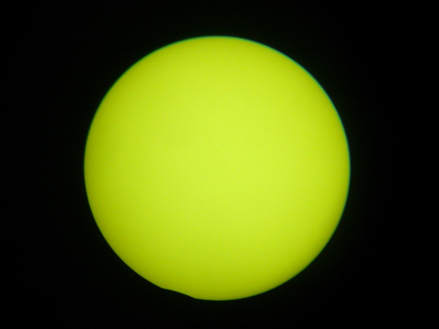 P1050807_.jpg