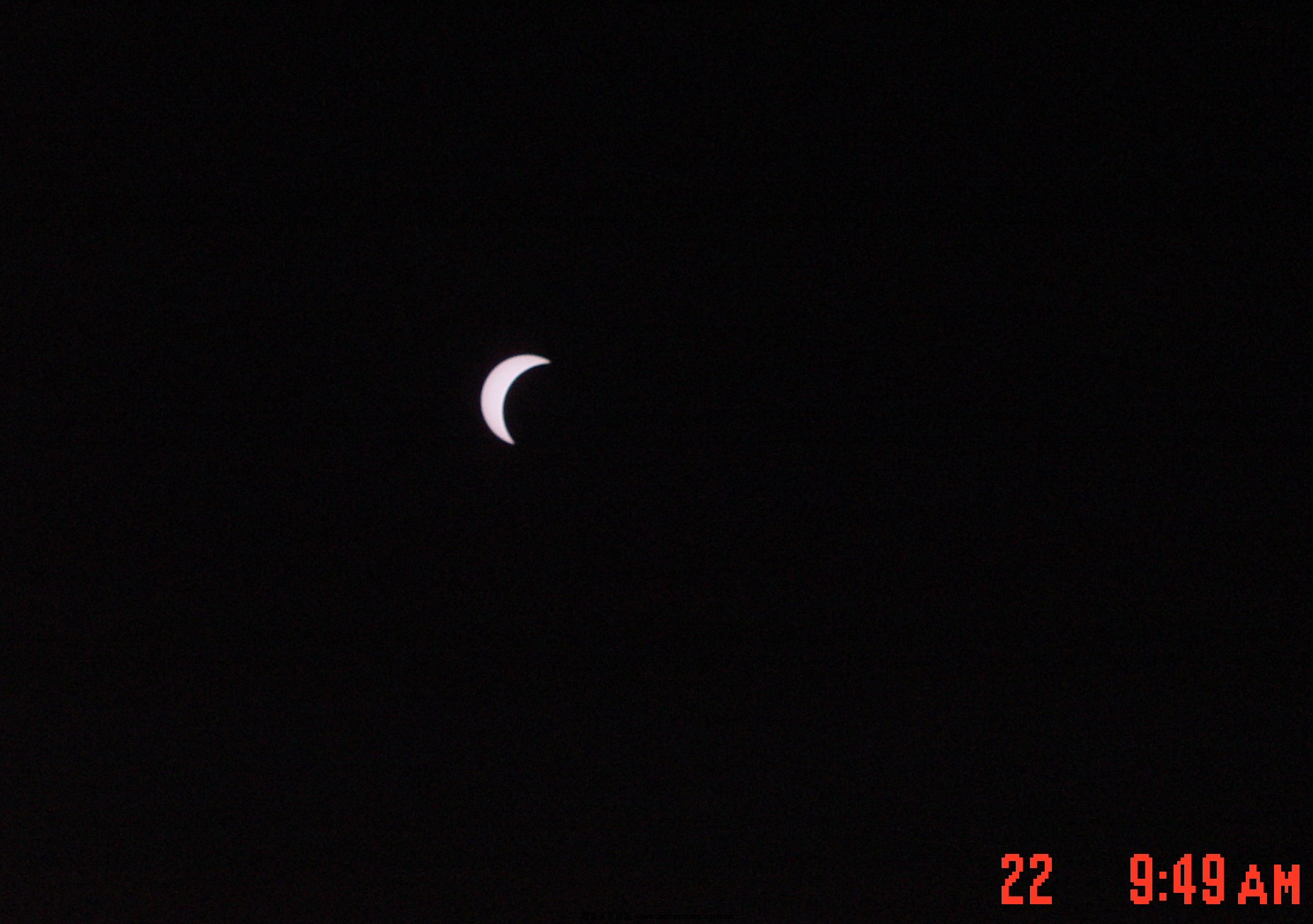 DSC02204'.jpg