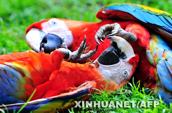 xin_3920706152024640042371.jpg