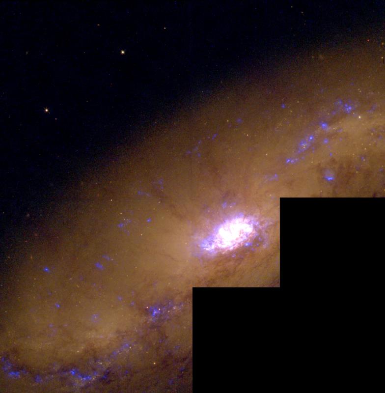 galaxias_b0c2b4.jpg