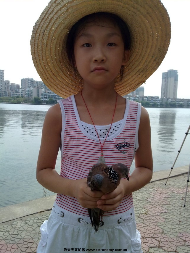 大人玩大人的，小孩...捡到斑鸠的小孩.jpg