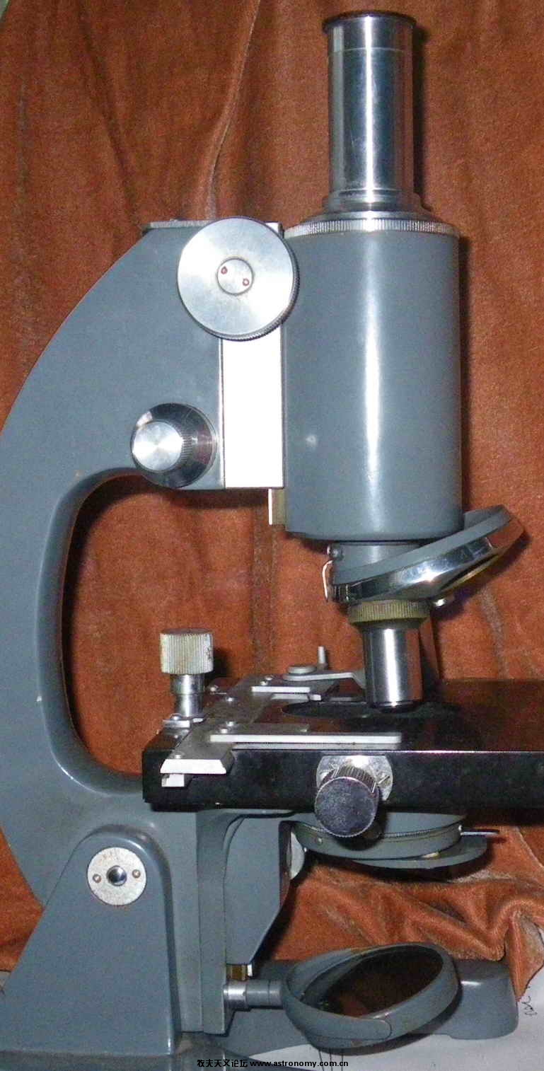 IMGP1658.jpg
