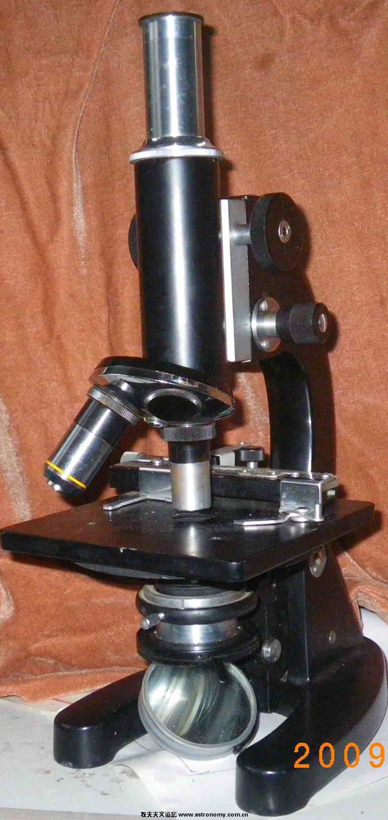IMGP1655.jpg