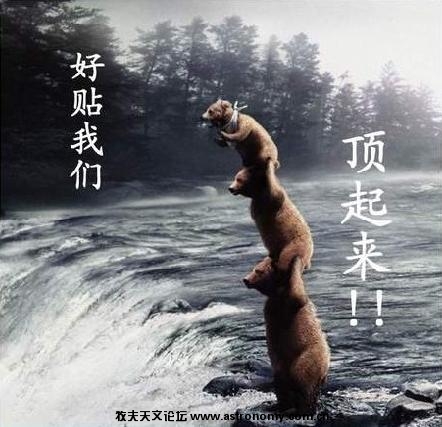 顶贴.jpg