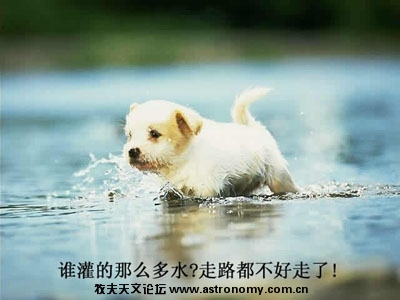 水太多.jpg