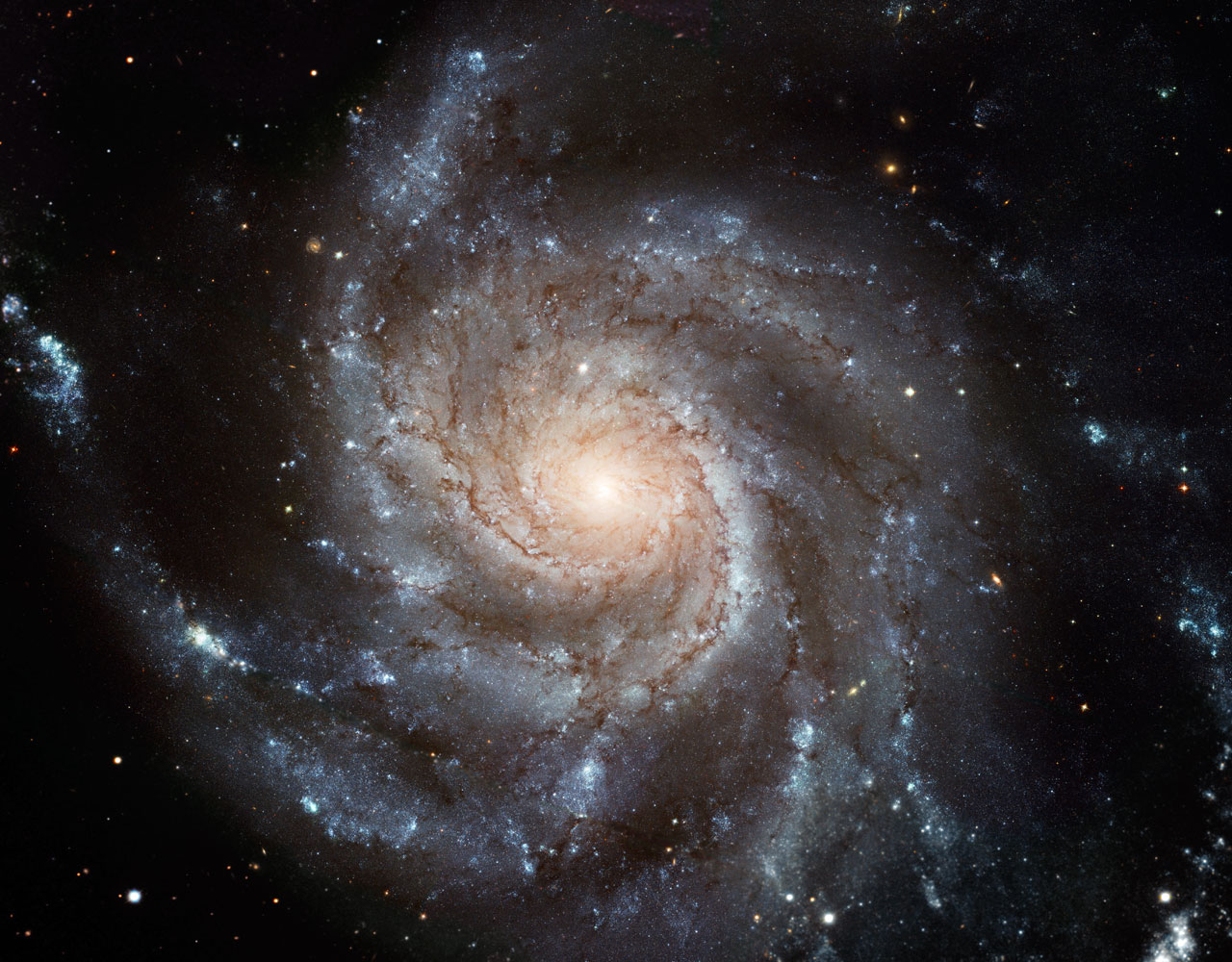 M101b.jpg