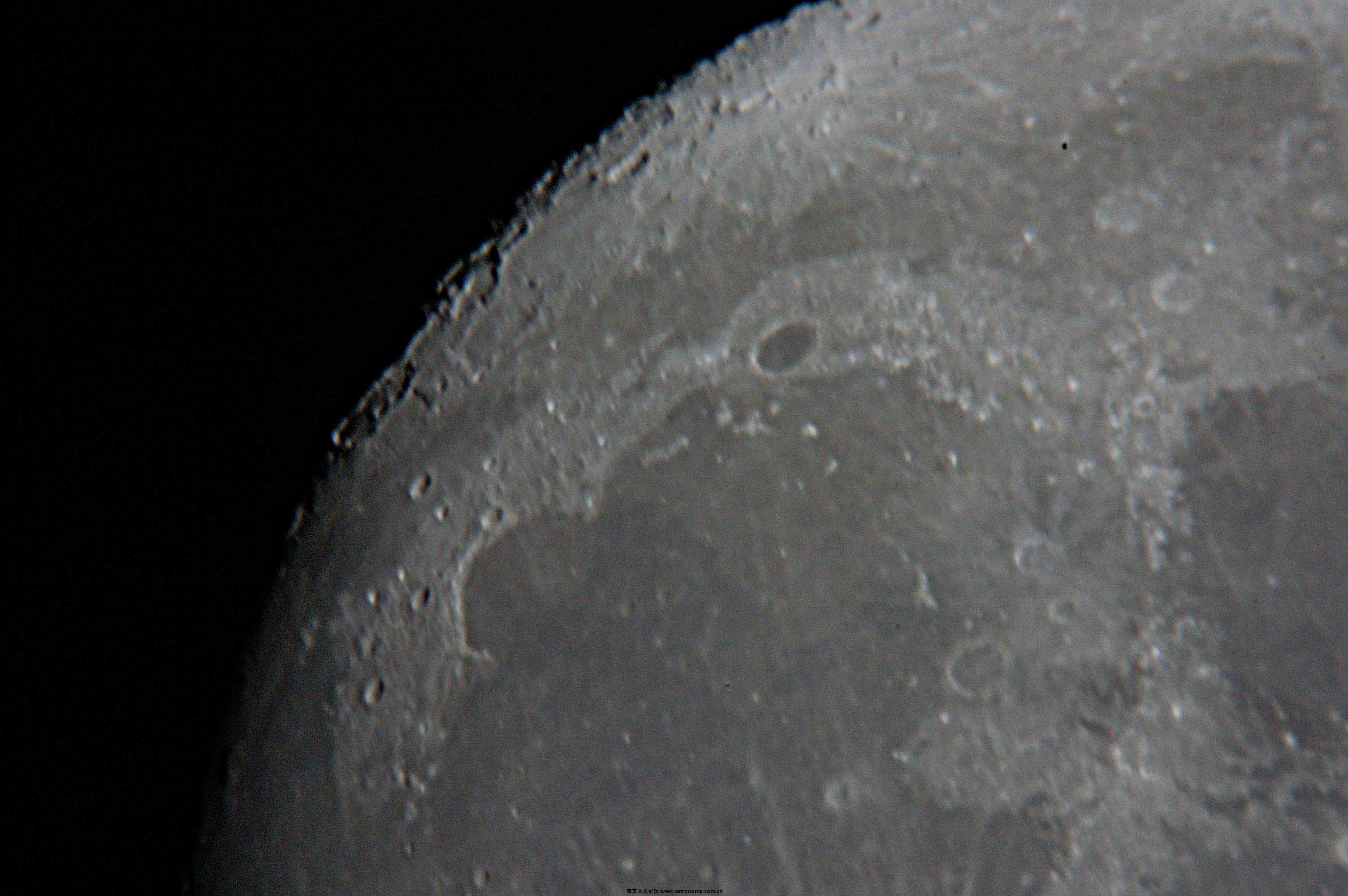 DSC_0222-a.jpg