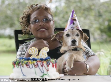 美国路易斯安那州杂种小猎犬“马克斯”迎来自己的26岁生日.jpg