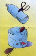 捕蟑器原型.jpg