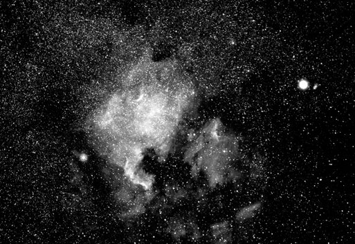 北美洲星云(NGC 7000).jpg