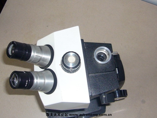 P1080023.jpg