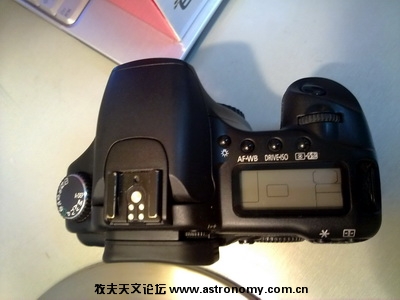20090817130_调整大小.jpg
