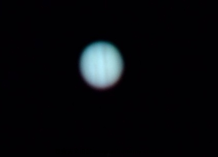 DSCF1442.jpg