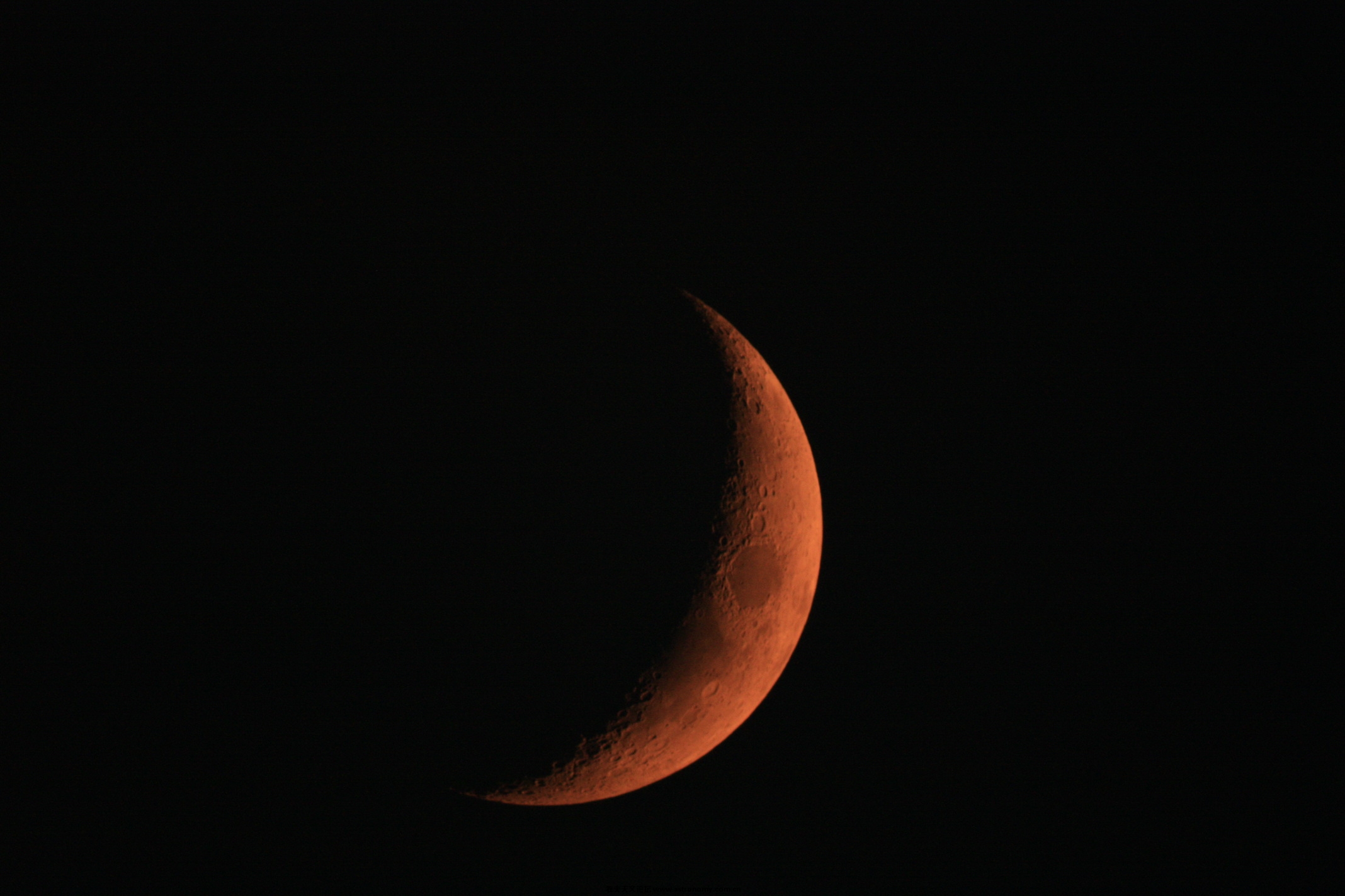 IMG_1873.jpg