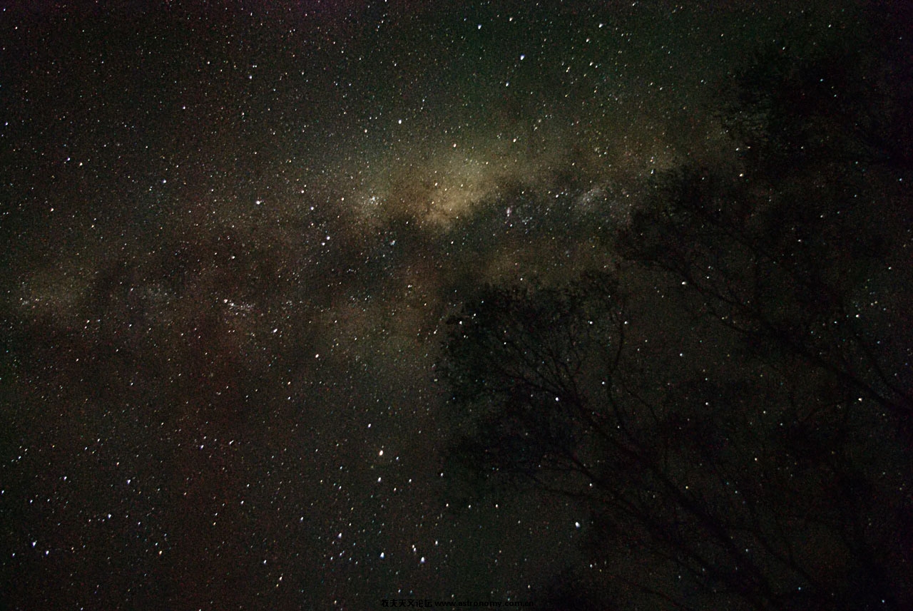 IMGP2265_.jpg