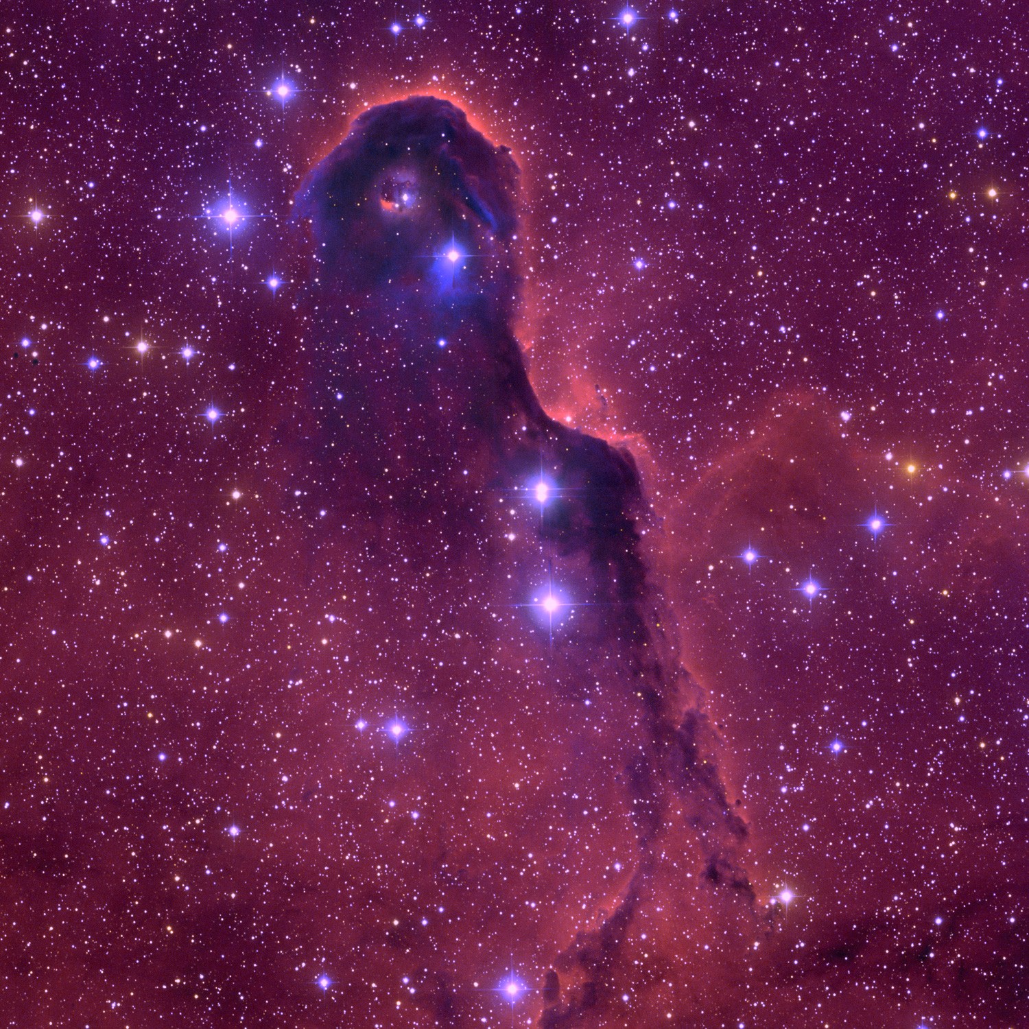 ic1396-1500 [].jpg