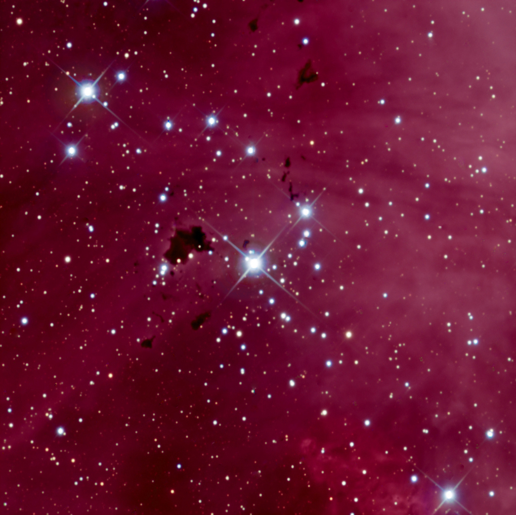 IC2944.jpg