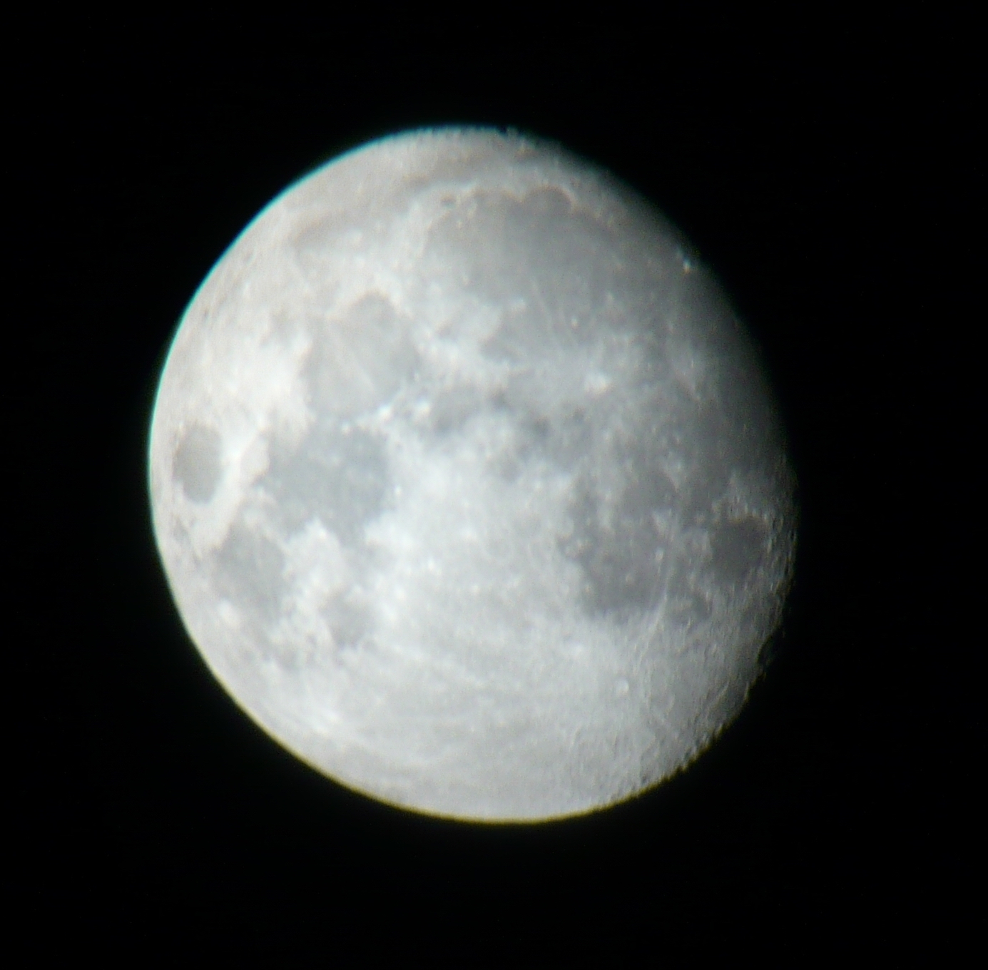 P1000971.jpg