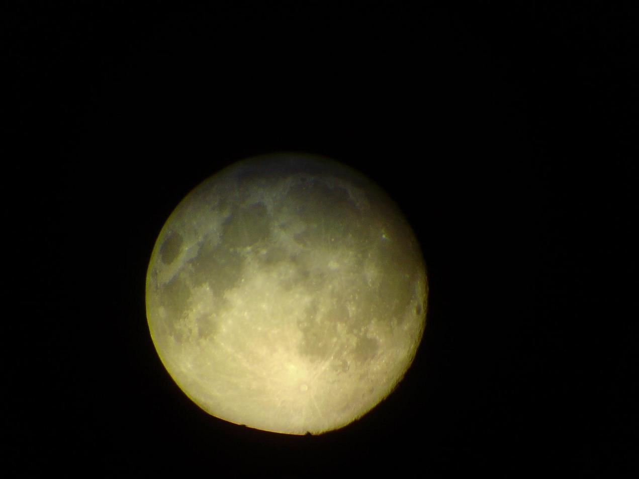 DSC00592.JPG