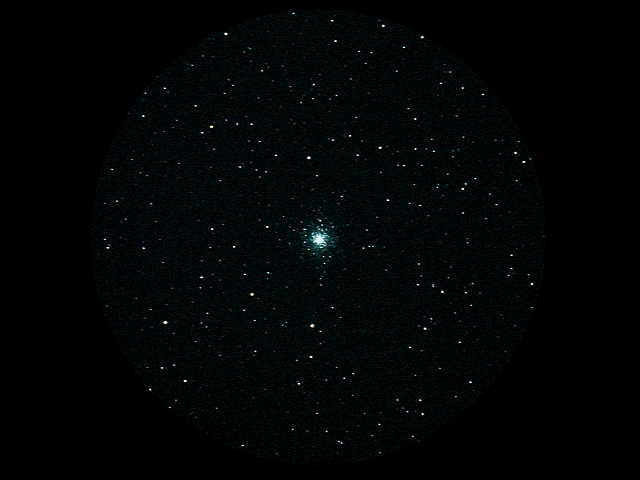 m79.jpg