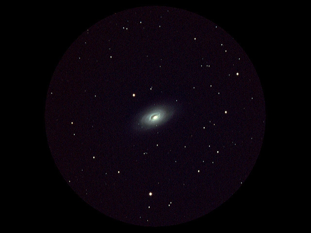 m64.jpg