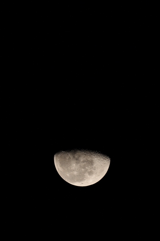 IMG_6504_调整大小.JPG