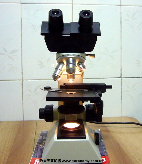 P1080290.jpg