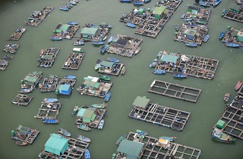 中国香港马湾市附近的渔场.jpg