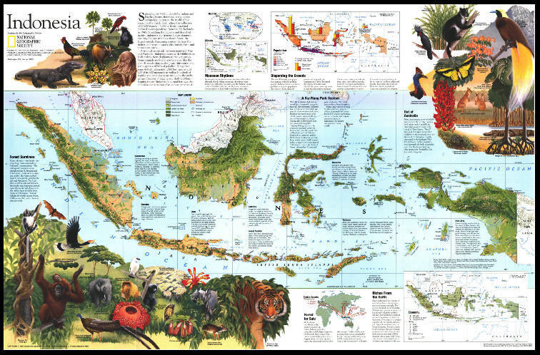 缩略图：国家地理：印度尼西亚－Indonesia 2 (1996).jpg