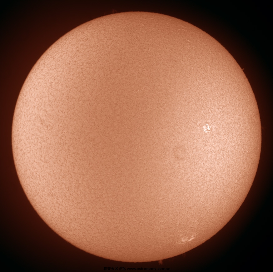 Ha0002_20090923_082336_ST354.jpg
