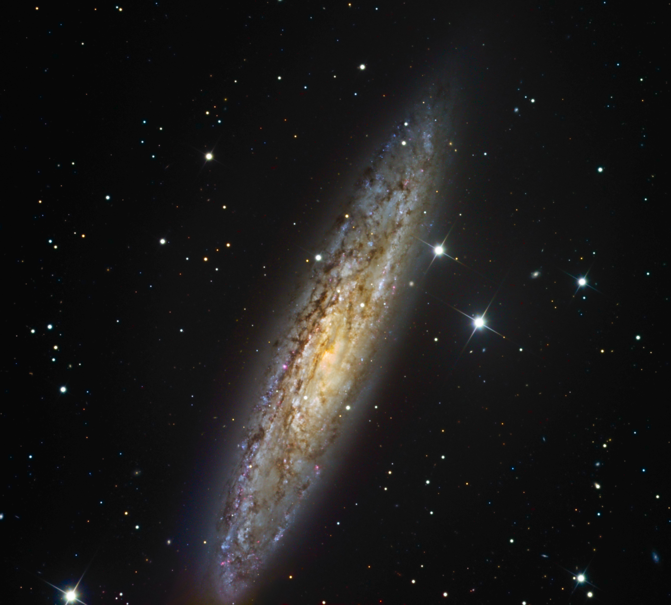 NGC253.jpg