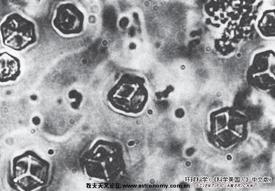 15 1965年，由钮经义、龚岳亭、邹承鲁、邢其毅、汪猷等科学家组成的研究小组合成了世界上第一个人工蛋白— ...