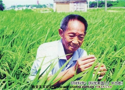  22 1973年，袁隆平培育出杂交水稻“南优二号”，并研究出整套制种技术。1976年，“南优二号”大面积推广后 ...