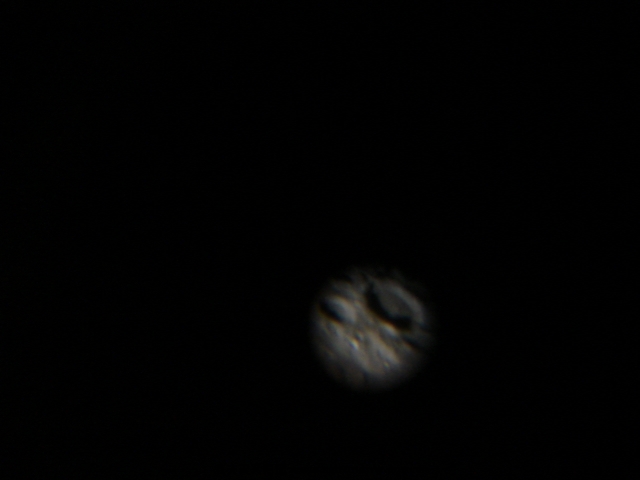 DSC02437.JPG
